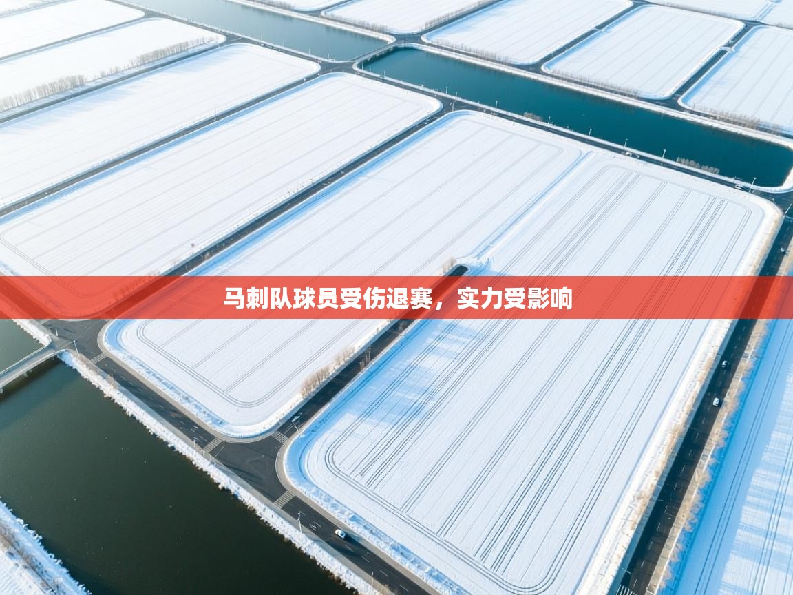 开云体育PC版网页版登录-马刺队球员受伤退赛，实力受影响  第1张