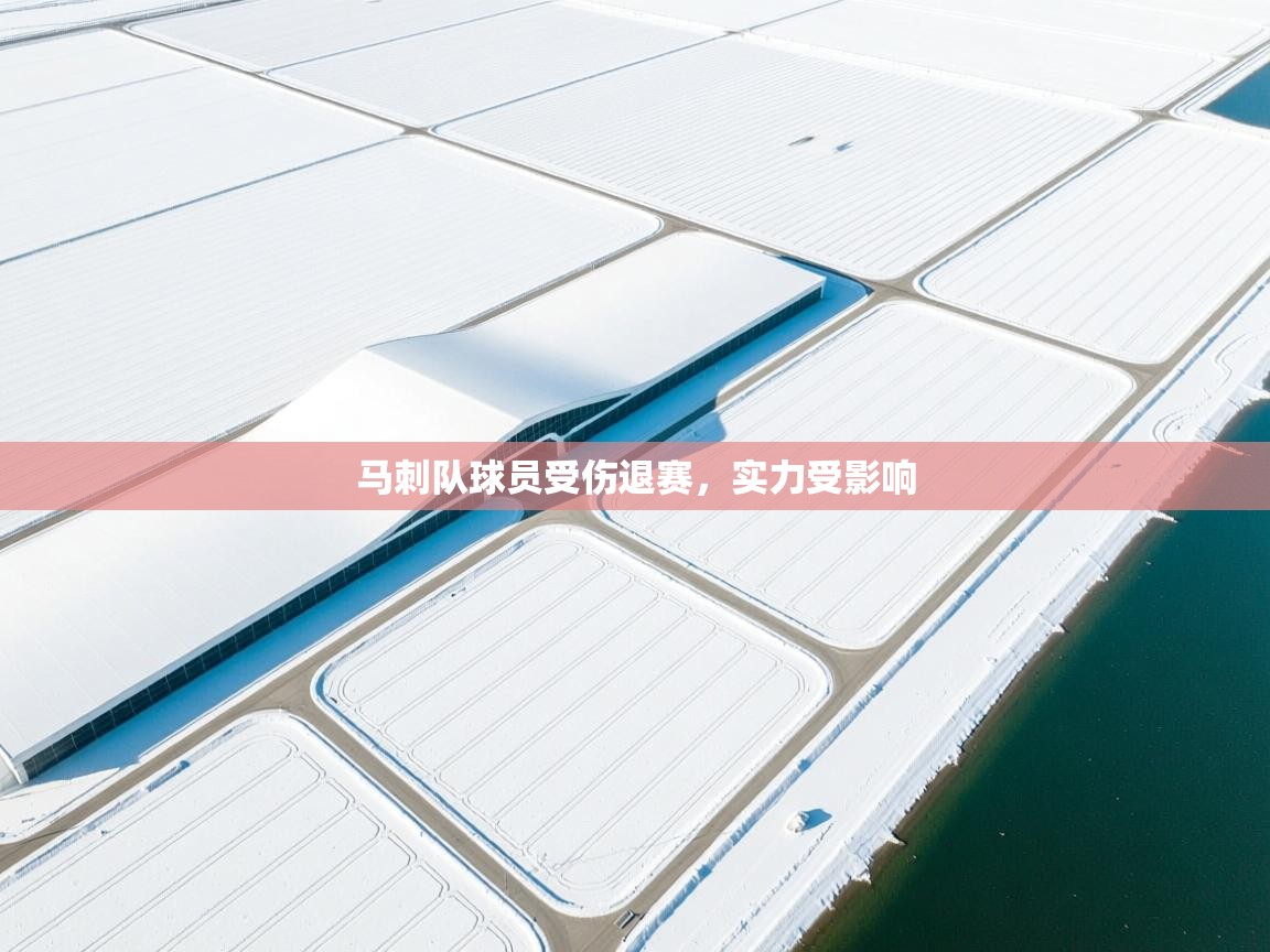 开云体育PC版网页版登录-马刺队球员受伤退赛，实力受影响  第3张