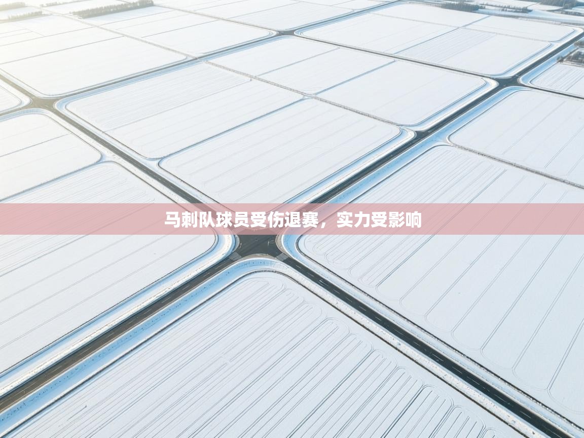 开云体育PC版网页版登录-马刺队球员受伤退赛，实力受影响  第2张
