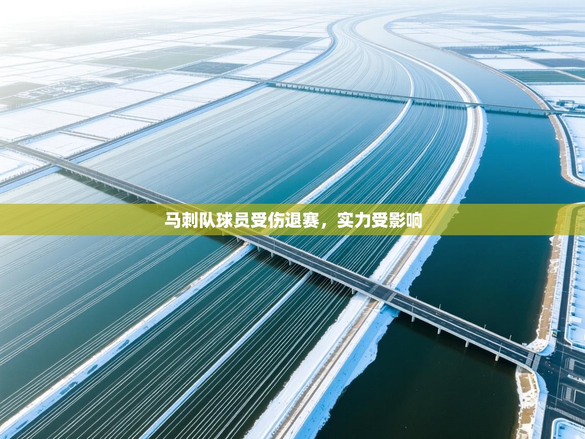 开云体育PC版网页版登录-马刺队球员受伤退赛，实力受影响  第4张