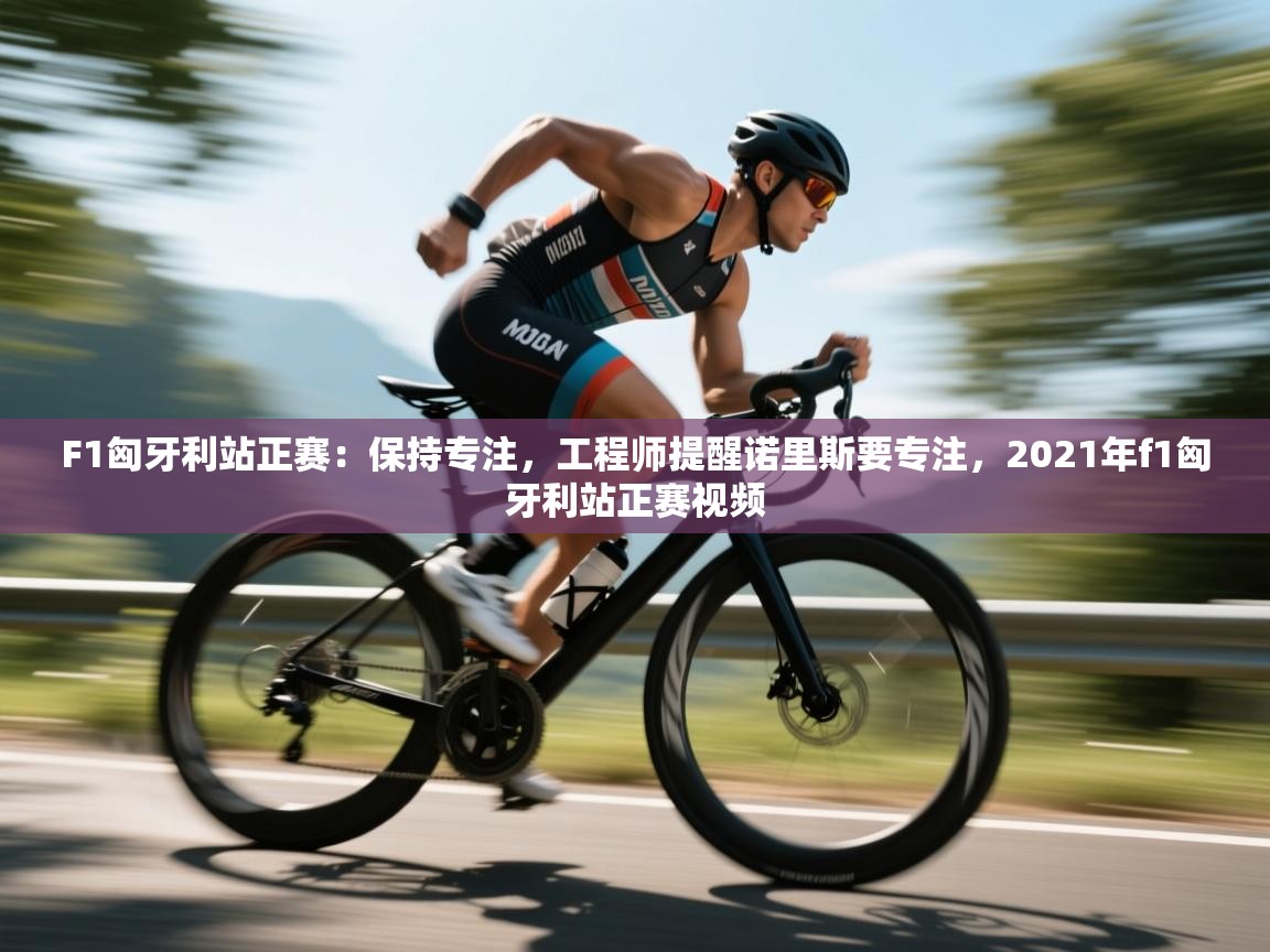 开云体育app下载安卓-F1匈牙利站正赛：保持专注，工程师提醒诺里斯要专注，2021年f1匈牙利站正赛视频  第1张