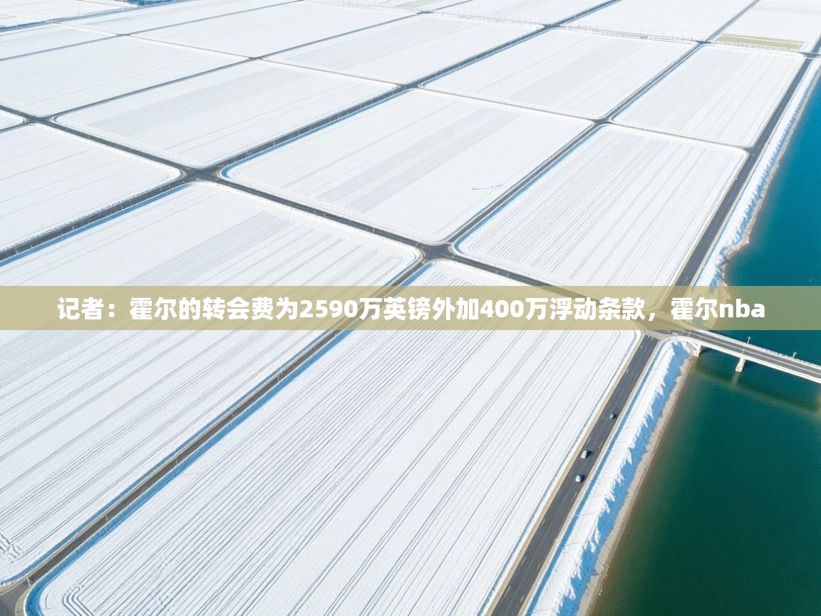 云开体育官网登录入口-记者：霍尔的转会费为2590万英镑外加400万浮动条款，霍尔nba  第1张