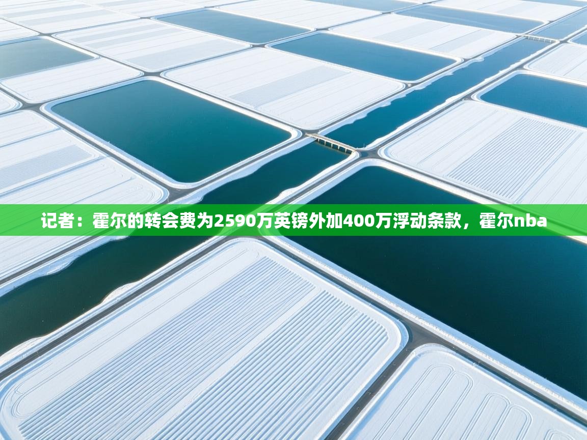 云开体育官网登录入口-记者：霍尔的转会费为2590万英镑外加400万浮动条款，霍尔nba  第3张