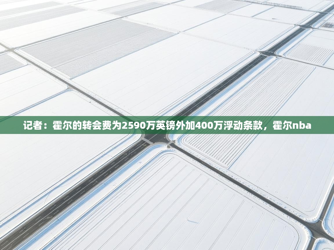 云开体育官网登录入口-记者：霍尔的转会费为2590万英镑外加400万浮动条款，霍尔nba  第2张