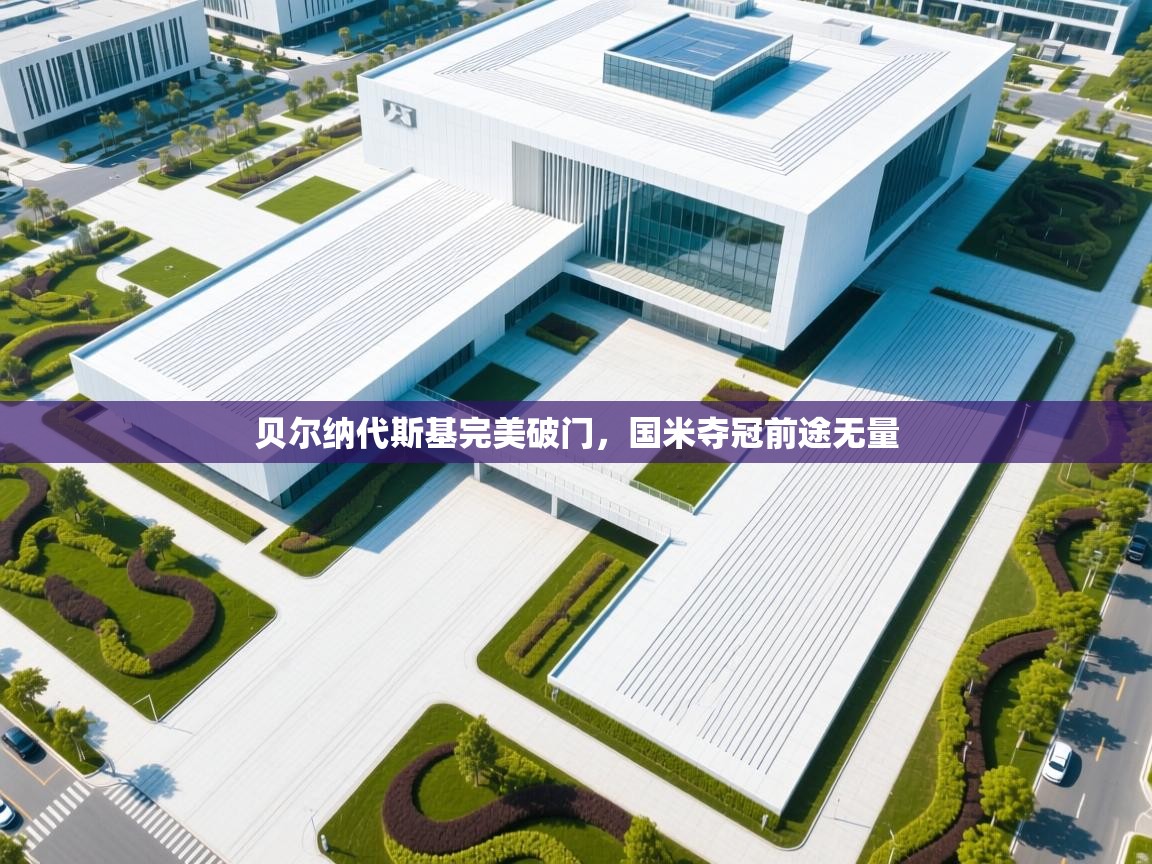 kaiyun sports-贝尔纳代斯基完美破门，国米夺冠前途无量  第1张