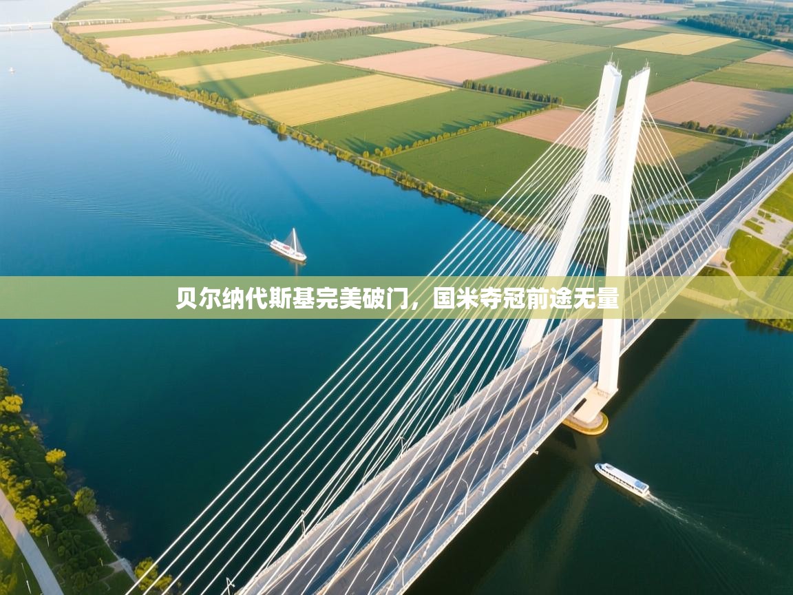 kaiyun sports-贝尔纳代斯基完美破门，国米夺冠前途无量  第4张