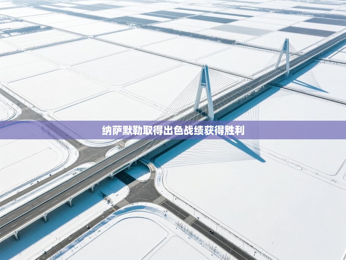 开云体育修改登录密码-纳萨默勒取得出色战绩获得胜利  第2张