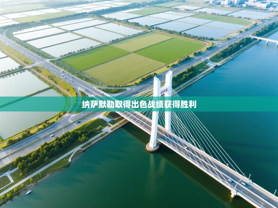 开云体育修改登录密码-纳萨默勒取得出色战绩获得胜利  第1张