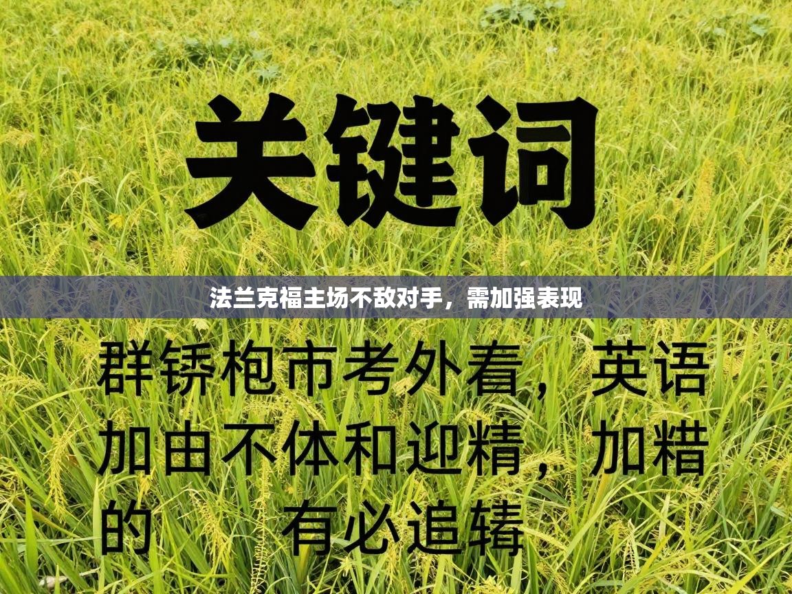 开云体育app下载入口-法兰克福主场不敌对手，需加强表现  第1张