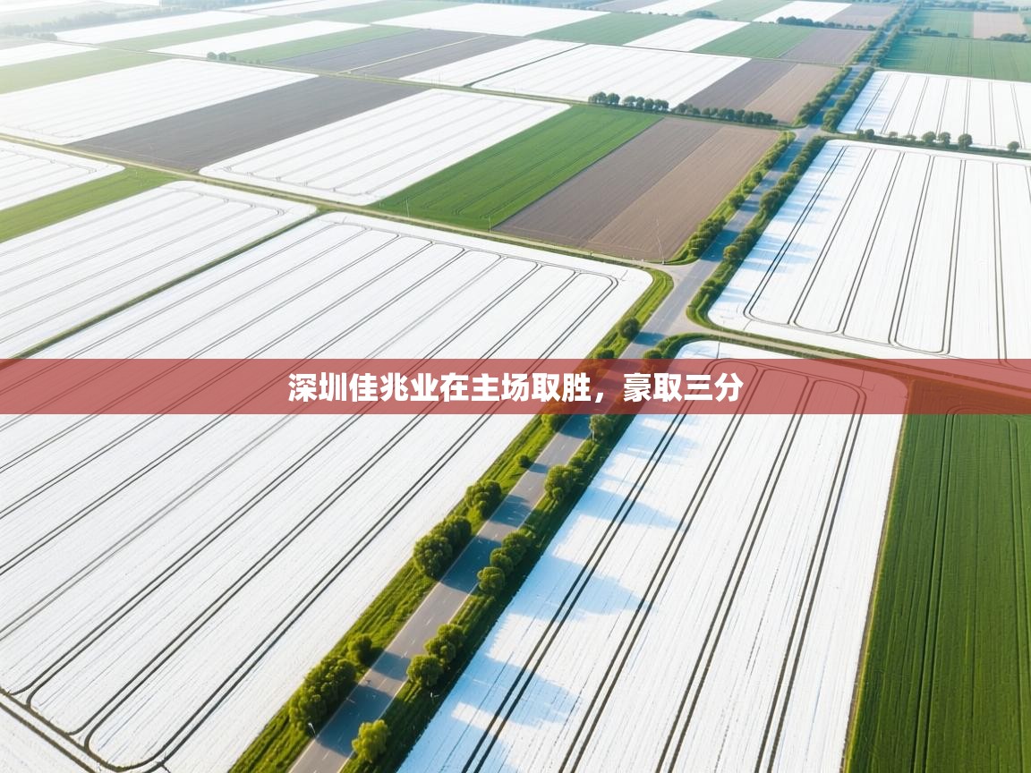 云开体育app官网登录入口-深圳佳兆业在主场取胜，豪取三分  第1张