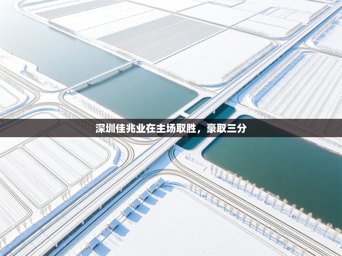 云开体育app官网登录入口-深圳佳兆业在主场取胜，豪取三分  第2张