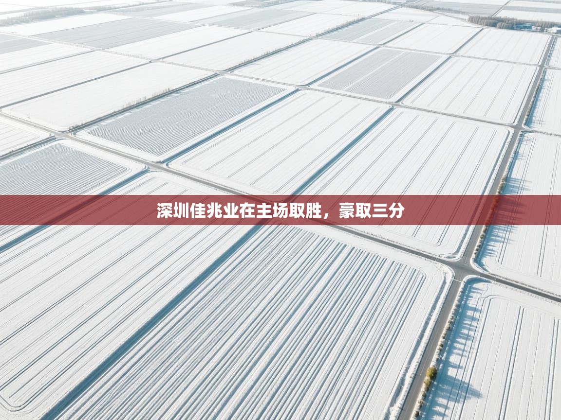 云开体育app官网登录入口-深圳佳兆业在主场取胜，豪取三分  第3张