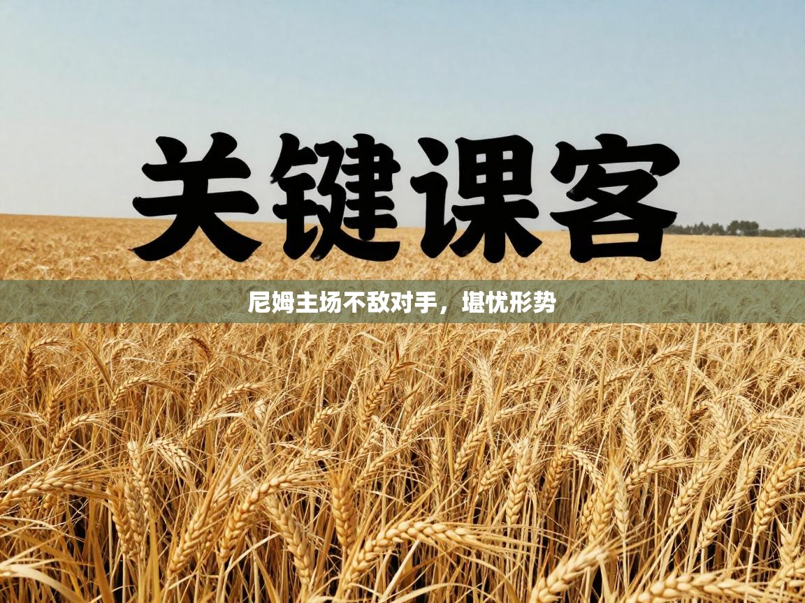 开云客服-尼姆主场不敌对手，堪忧形势  第1张