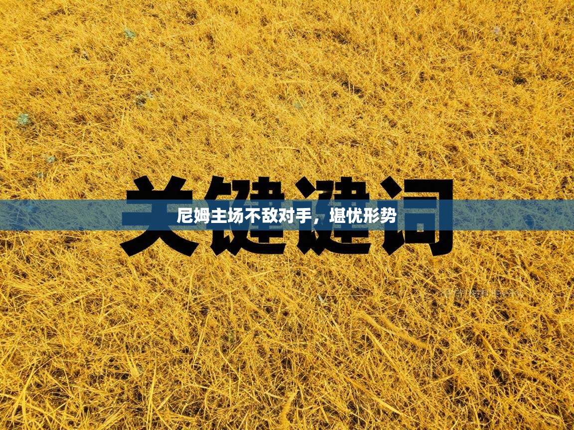 开云客服-尼姆主场不敌对手，堪忧形势  第4张