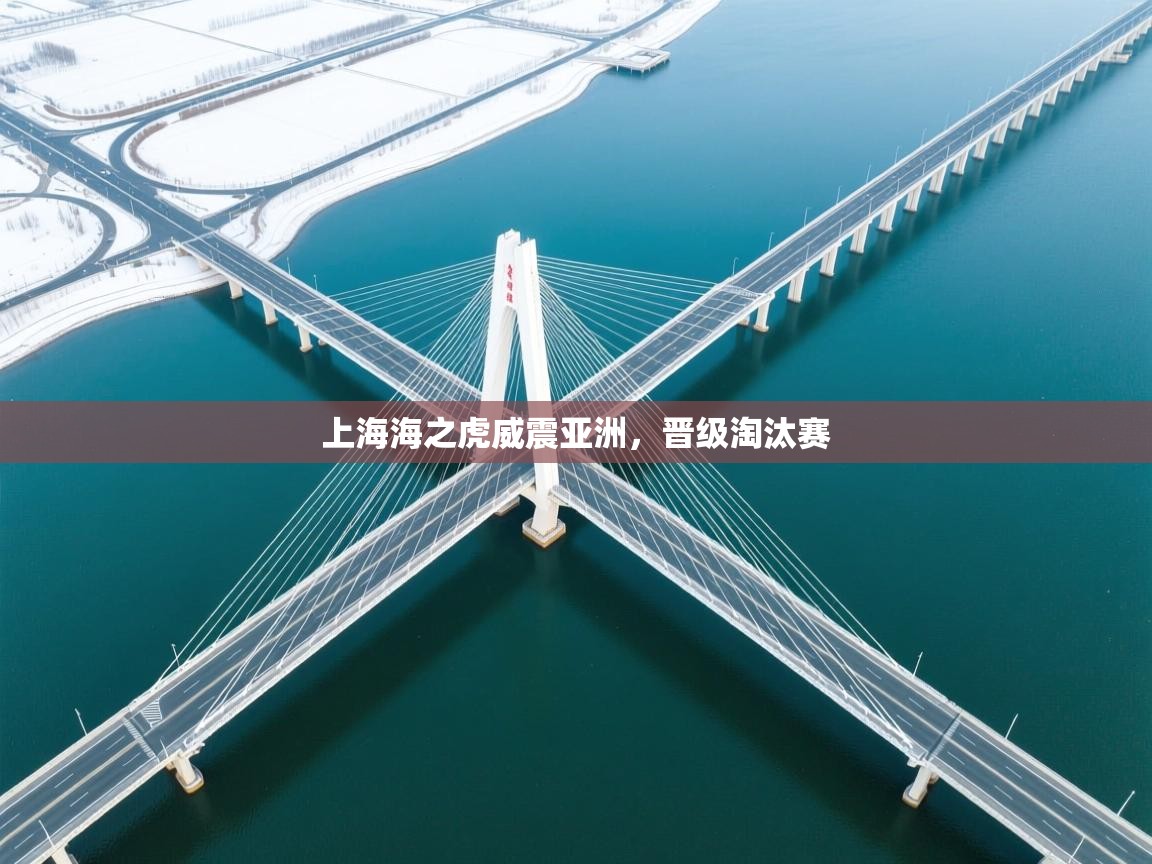 开云体育注册app-上海海之虎威震亚洲，晋级淘汰赛  第1张