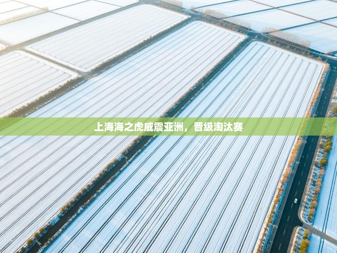 开云体育注册app-上海海之虎威震亚洲，晋级淘汰赛  第2张