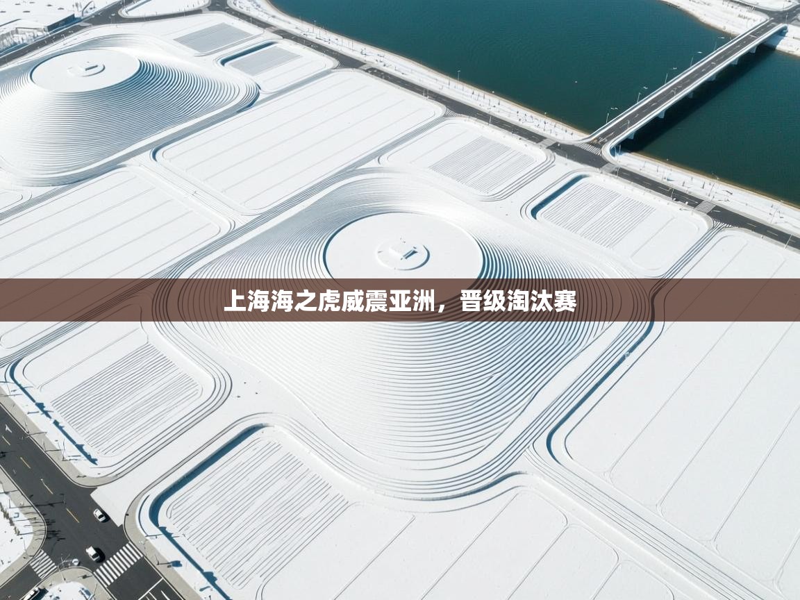 开云体育注册app-上海海之虎威震亚洲，晋级淘汰赛  第3张