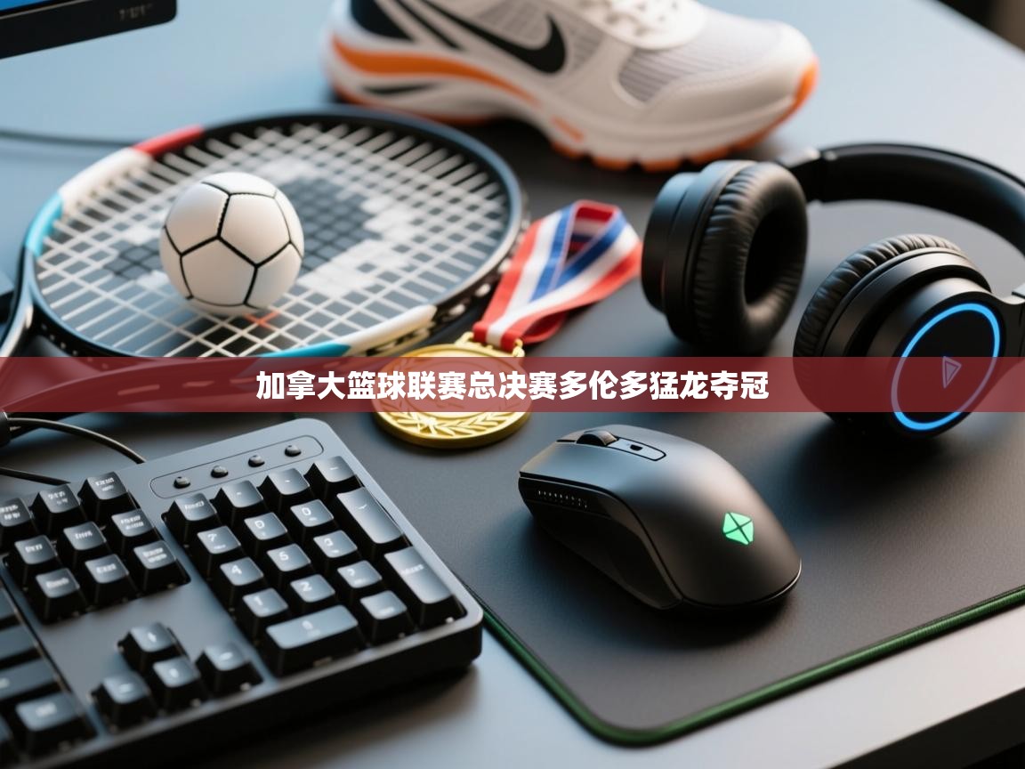 开云体育无法登录解决方案-加拿大篮球联赛总决赛多伦多猛龙夺冠  第1张