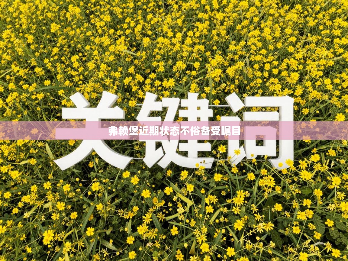 开云体育app在线-弗赖堡近期状态不俗备受瞩目  第3张