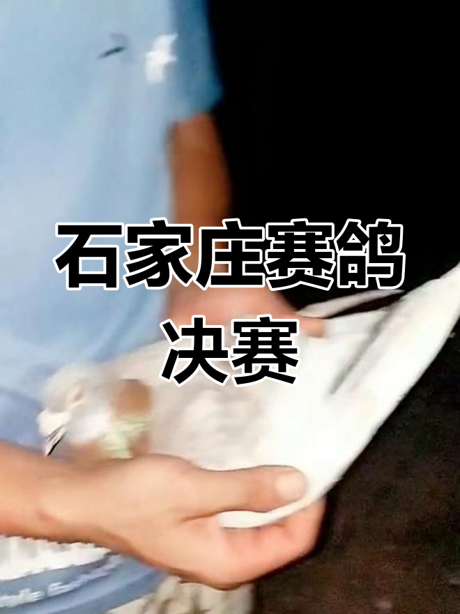 选手实力激烈角逐，夺冠在望
