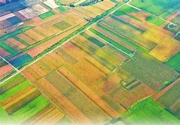 甘冈夺取关键三分，全力争取胜利的简单介绍